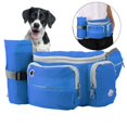 thumbnail image 3 of Training Running Leash Dog Waist Bags, Dog Training Bags, Poop Dogs Puppy For Cats, 3 of 8