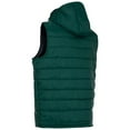 thumbnail image 2 of Trespass Mens Franklyn Padded Gilet, 2 of 4
