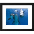 thumbnail image 2 of Bottlenose Dolphins, Three Playing Underwater, Animals Framed Art Print Wall Art by Augusto Leandro Stanzani Sold by Art.Com, 2 of 5