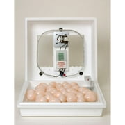 Miller Manufacturing Circulated Air Incubator with Fan