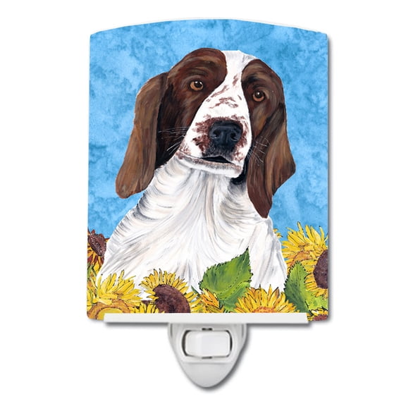 Caroline's Treasures Multicolor Welsh Springer Spaniel Night Light