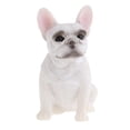 thumbnail image 2 of Figura de bulldog francés hecha a mano en resina Sentado blanco, 2 of 8