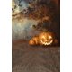 thumbnail image 1 of Fondos de fotografía ABPHQTO 150x220cm Calabazas de Halloween en bosques salvajes, 1 of 1
