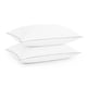 thumbnail image 2 of Casa Platino Juego de 2 Almohadas Tamaño Queen: Almohada de Cama de Colección de Hotel de Lujo Tamaño Queen para Personas Que Duermen de Lado, Boca Arriba y Boca Abajo, Duradera y Fácil de Lavar, 2 of 8