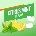 thumbnail image 2 of Chicle TheraBreath Fresh Breath Citrus Mint 10x6, 2 of 8