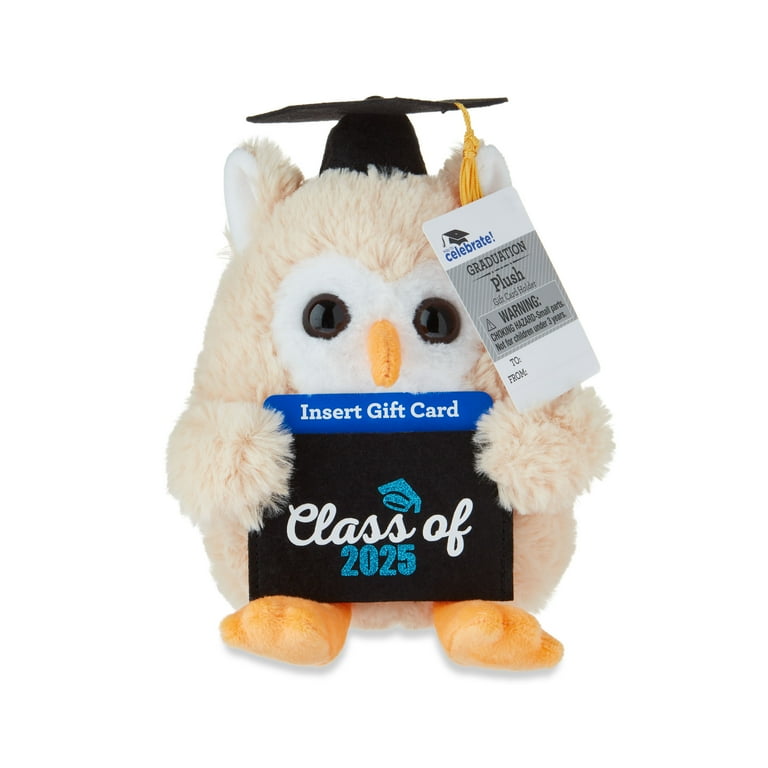 Graduation Small Brown Class of 2025 Owl Plush with Gift Card Holder, 9", by Way To Celebrate