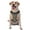 With Accessories, variant on Vsdgher Funny Construction Pattern Dog Harness,No Pull Pet Harness with Soft Padded Handle,Adjustable Reflective Vest with 2 Buckles,4 Slide Buckles,S-XL