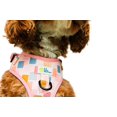 thumbnail image 2 of Lila Pawtique Harnais Ajustable pour Chien Gilet Vik Fiesta, 2 of 8