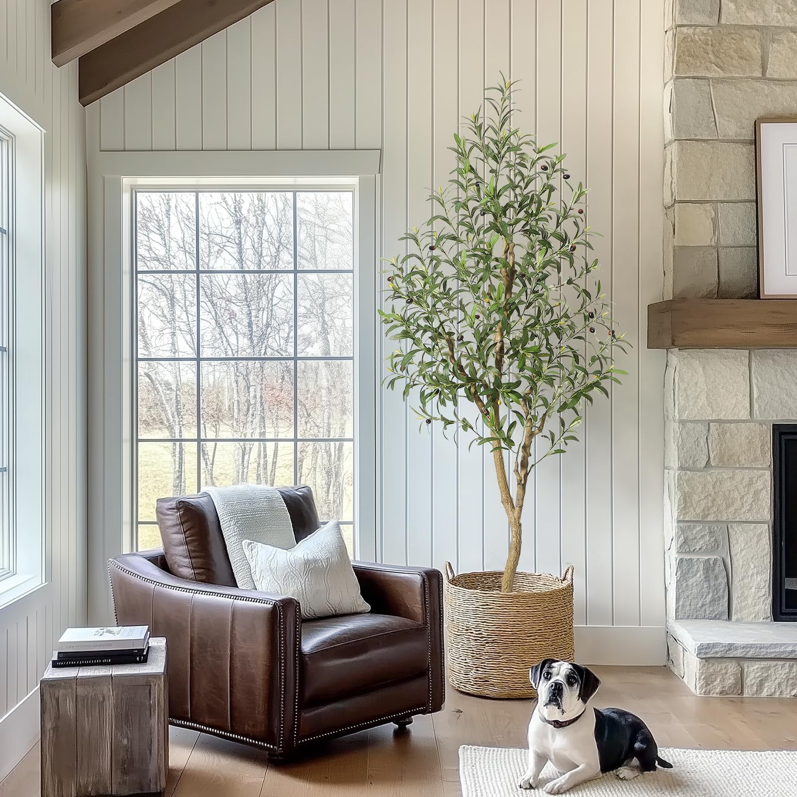 QinaQin 6-Foot-Tall Artificial Olive Tree, a Lifelike Indoor Plant, Comes with a Pot and Basket, Suitable for Home Or Office Décor