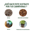 thumbnail image 3 of Sustrato Premium para Plantas de Interior - Enriquecido con Nutrientes - The Real Green, 3 of 8