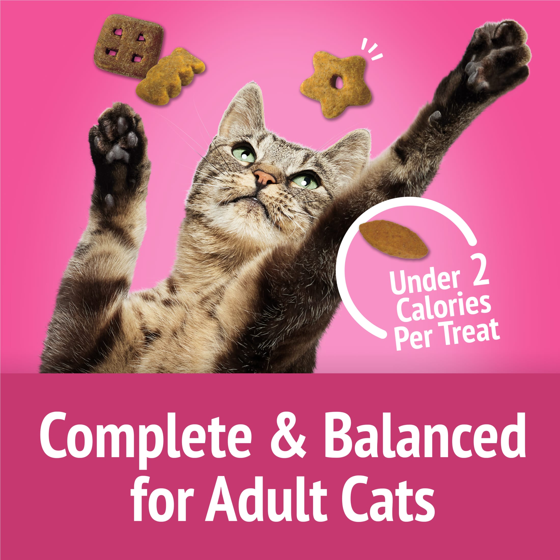 Friskies Party Mix California Crunch Cat Treats, 30 oz photo 7