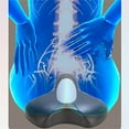 thumbnail image 4 of WIHJ Pelvic Floor Trainer Upgraded Portable Kegel Device For And Strengthens And Tightens Pelvic Floor Muscles For Daily Use, 4 of 4