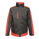 thumbnail image 1 of Regatta - Chaqueta Contraste para Mujer (Negro Grafito, Rojo Frambuesa), 1 of 4