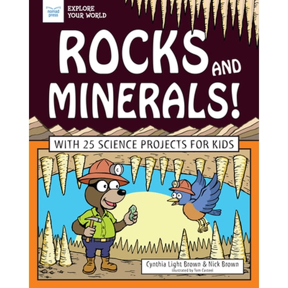 Pre-Owned Rocks and Minerals!: With 25 Science Projects for Kids (Paperback) 1619308746 9781619308749