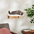 thumbnail image 1 of Frisco Cushioned Wall Mounted Cat Wall Shelf, 1 of 5