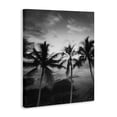 thumbnail image 3 of Stupell Industries Palm Tree Coast Photograph Canvas Wall Art design by Carol Robinson, 20 x 16, 3 of 7