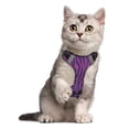 thumbnail image 5 of Pet Vest For Walking With Handle Adjustable Reflective Dog Cat Harness Zebra Print, 5 of 7