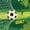 Green Black Yellow, variant on Manfei Soccer Sport Twin Bedding, Football Bedding Comforter Set, Green White Gold, Polka Dots Reversible 7pcs