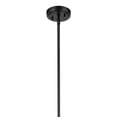 thumbnail image 3 of 42046BKCS Kichler Lighting Everly - 1-Light Large Pendant with Transitional Style 19.75 Inches Tall by 13.75 Inches Wide-Black Finish-Clear Seeded, 3 of 5