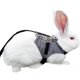 thumbnail image 1 of Conjunto de arnés y correa de chaleco de conejo multiusos Arnés suave ajustable de animal pequeño con decoración de botones Estilo de traje formal para conejito Conejo Gatito caminando brillar Juguete, 1 of 5