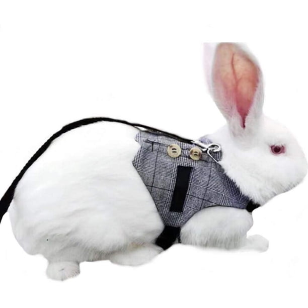 Conjunto de arnés y correa de chaleco de conejo multiusos Arnés suave ajustable de animal pequeño con decoración de botones Estilo de traje formal para conejito Conejo Gatito caminando brillar Juguete