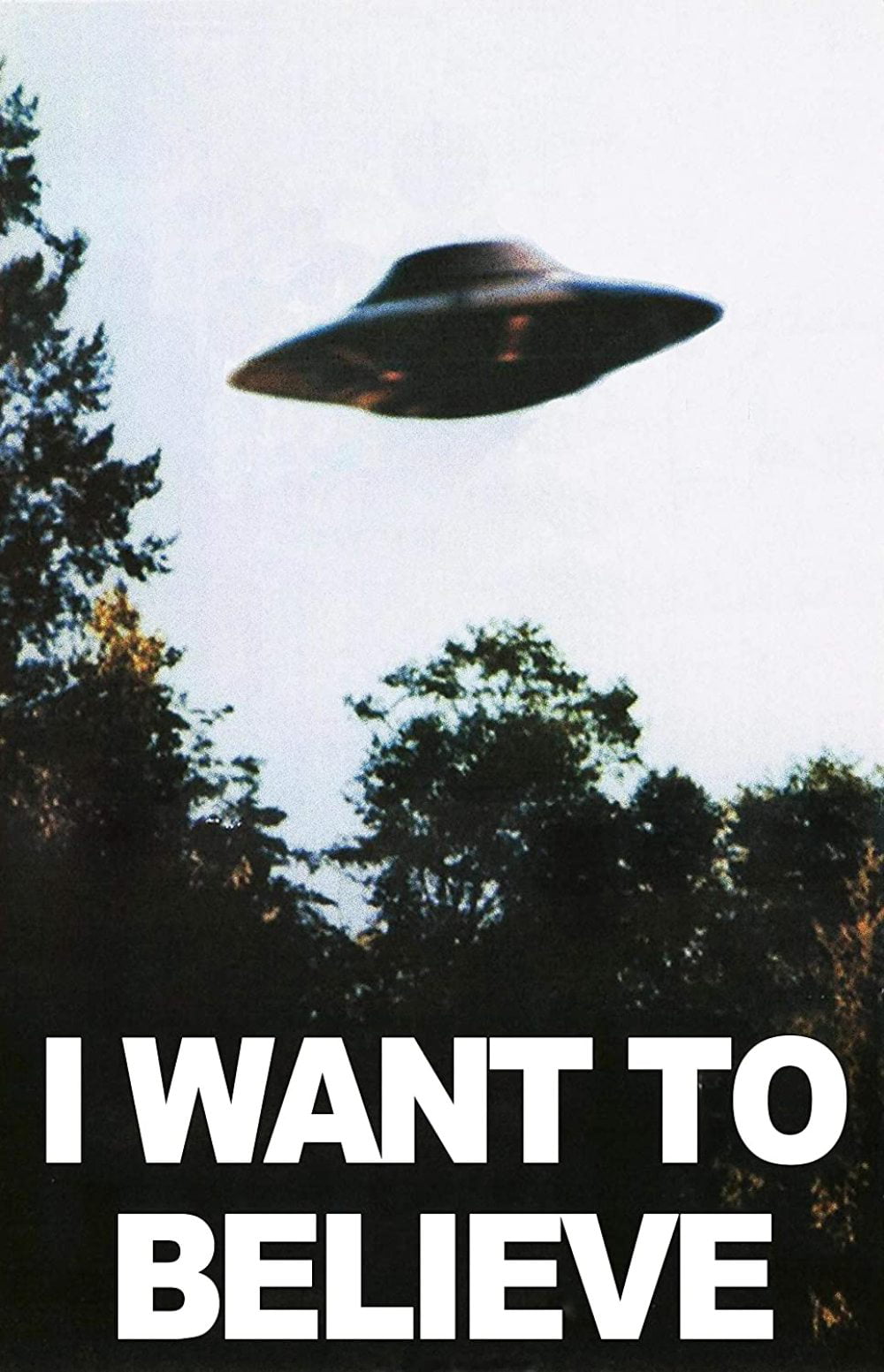 The X Files Fan Art Poster "I Want to Believe" Mulders Office 11 by 17 