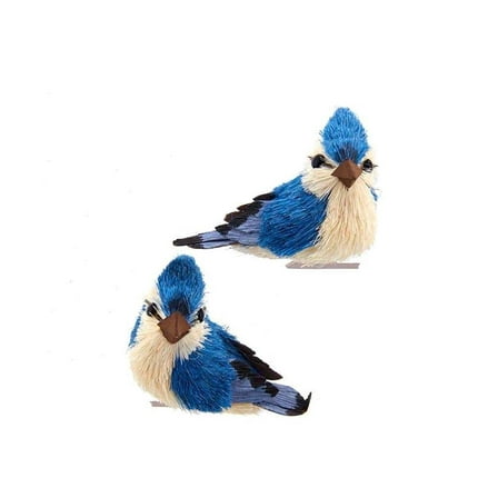 Kurt Adler 3-Inch Blue Jay With Clip Two Different Styles Christmas Ornaments, 2 Piece Set