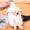 White #3, variant on New Style Bear Canvas Bag Crossbody Bag Trendy Shoulder Bag Female INS Cute Small Bag