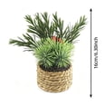 thumbnail image 3 of Qholemyo Assorted Mini Pine Potted Plants Fake Plants Home Decor Artificial Plants Straw Basket For Tabletop Christmas Indoor Arrangement, 3 of 6