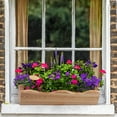thumbnail image 7 of All Things Cedar WB20 Cedar Window Flower Box - 22L x 7W x 6H, 7 of 7