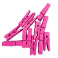 thumbnail image 2 of Cateissary Paquete de 100 clavijas de Tarjeta de artesanía de boda Clips de imagen de papel de teléfono Fiesta Escuela Oficina Artesanía Pinzas Rosa roja, 2 of 6