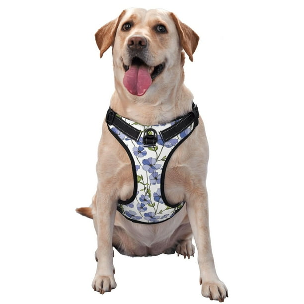 Balery Blue Flax Flowers Arnés para Perros Grandes Antitirones, Arnés con Correa para Gato, Arnés Tipo Chaleco para Perros Pequeños-Medium