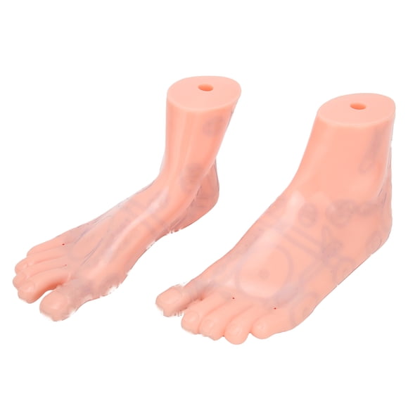Modelo de Reflexología del Pie, Modelo de Acupuntura de PIE PVC PRÁTICO PARA LA CLÍNICA PARA EL HOSPITAL PARA LA ESCUELA PARA LA FAMILIA
