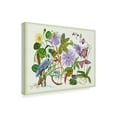 thumbnail image 2 of Trademark Fine Art 'Mesmerize Flowers' Canvas Art by Melissa Wang, 2 of 4