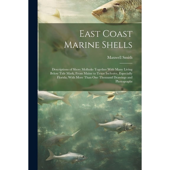 East Coast Marine Shells: Descriptions of Shore Mollusks Together With Many Living Below Tide Mark, From Maine to Texas , (Paperback)