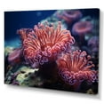thumbnail image 2 of Designart "Vibrant Anemone Reef" Coastal Coral Under Water Canvas Wall Art, 2 of 7