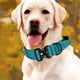 thumbnail image 4 of Collar para Ajustable Perro Pastor Alemán Accesorios Entrenamiento, 4 of 9
