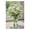 500 PCS, variant on Jigsaw Puzzle 500 Pieces for Adults, White Daisy with Green Leaves Theme, Floral Nature Design, Relaxing Challenging Puzzle for Family Time Home Wall Decoration