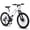 WHITE, variant on 24 inch Mountain Bike for Teenagers Girls Women, with 21 Speeds & Dual Disc Brakes, 100mm Front Suspension High Steel Frame Outdoor Cycling School Work