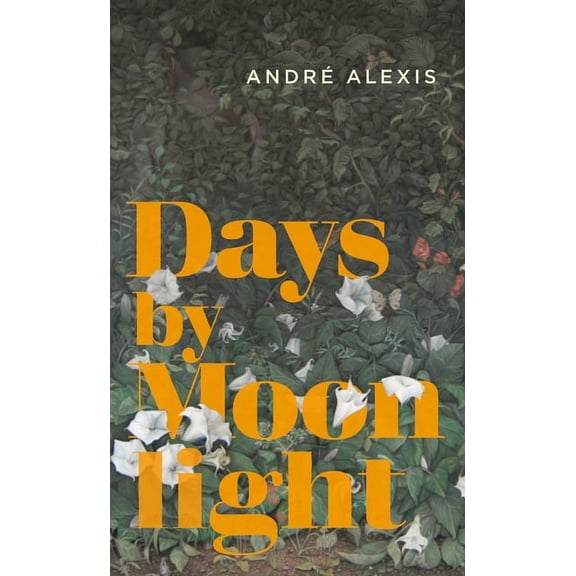 Days by Moonlight, (Paperback)