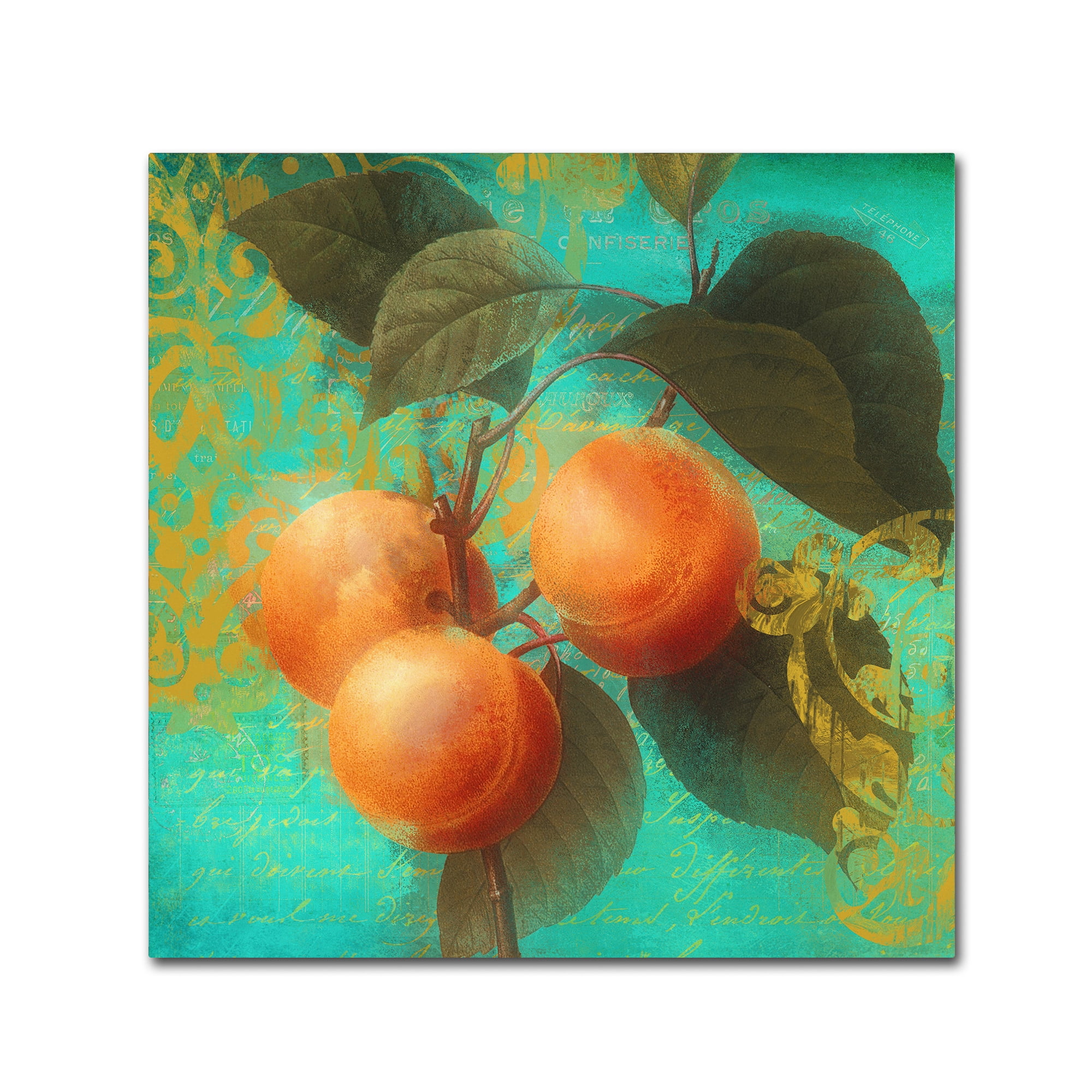 Trademark Fine Art "Glowing Fruits II" Canvas Art by Color Bakery