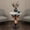 Deer-Head, variant on Wolf Head Accent Table Resin Sculpture Side Table with Faux Marble Top Modern End Table Decorative Furniture for Living Room Bedroom Office