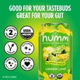 thumbnail image 4 of Humm Kombucha, Lemon Lime, 24 Pack, 12 oz Cans, 4 of 6