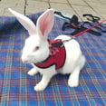 thumbnail image 4 of Manufacturing Nylon Walk-N-Vest Pet Harness and Leash for Small Pets, 4 of 4