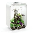 thumbnail image 2 of biOrb Medium Green & Purple Silk Plant Set, 2 of 8