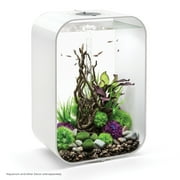 biOrb Medium Green & Purple Silk Plant Set