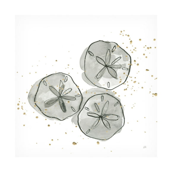 Chris Paschke 'Sand Dollar III' Canvas Art