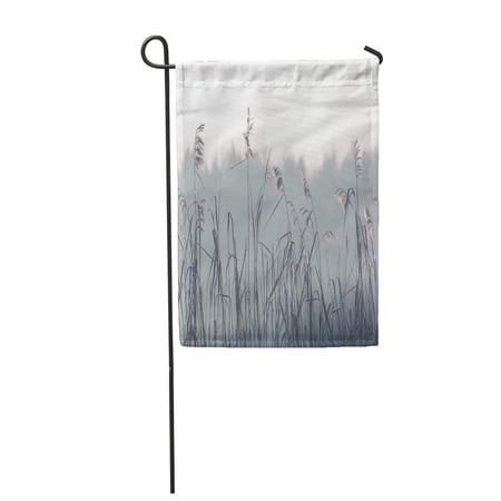 SIDONKU Abstract Dry Grass in Spring Time Poland Blurred Chill Climate Garden Flag Decorative Flag House Banner 12x18 inch