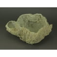 thumbnail image 3 of Off-White Fossilized Coral Look Decorative Coastal Decor Vase, 3 of 4