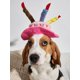 thumbnail image 1 of 1pc Random Color Plush Pet Birthday Party Hat With Candles, Cute Gift For Cat Dog New Year Celebration, 1 of 5